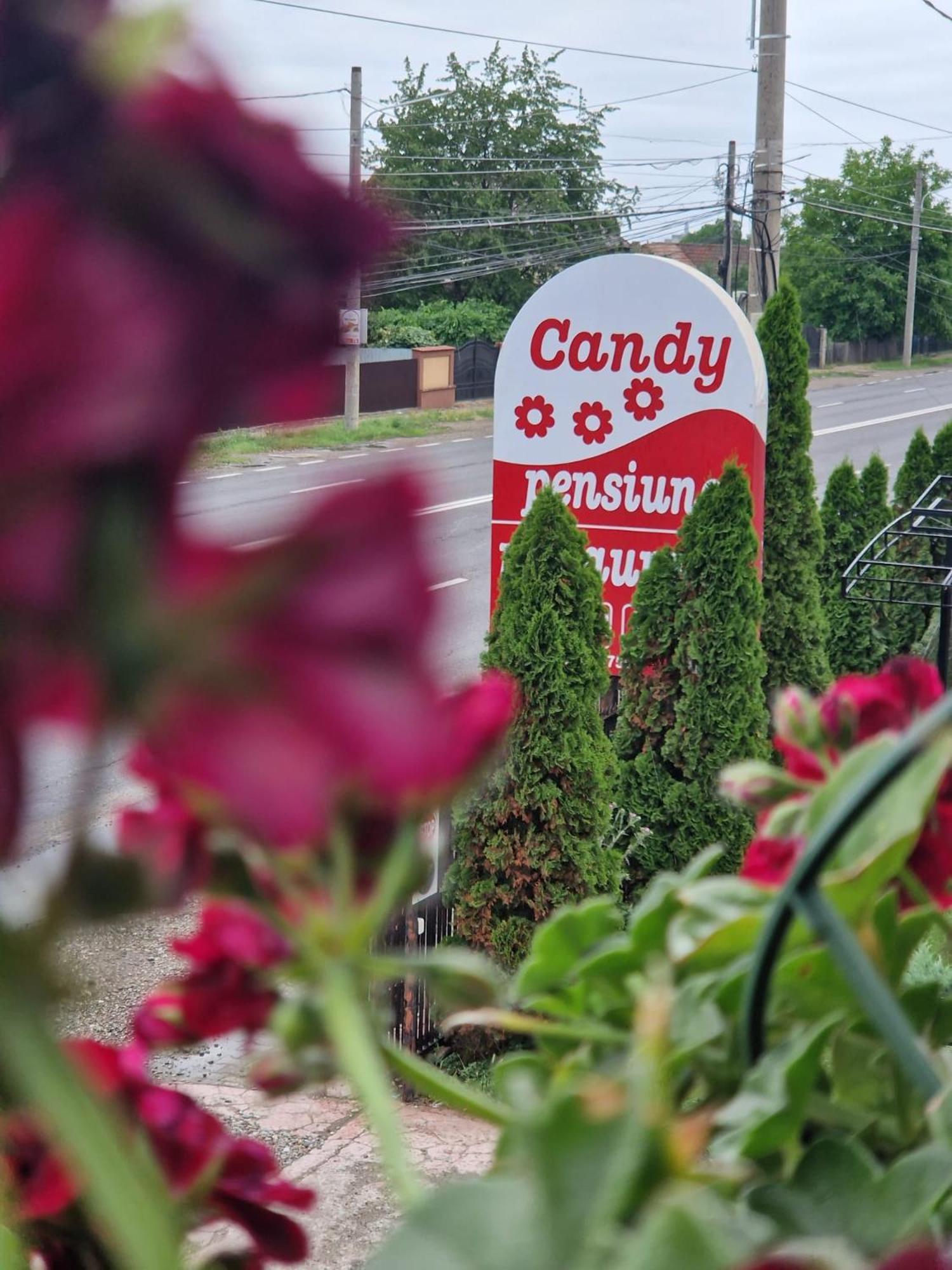 Candy Pensiune&Restaurant Dumbrava Roşie Exterior foto